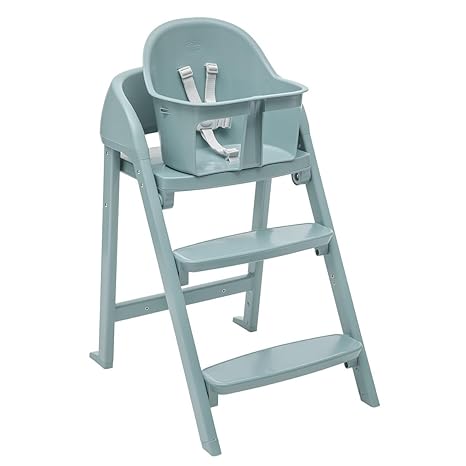 Chicco Juvenile Scaunel CRESCENDO LITE COMO LAKE 408704706 Cutie N1